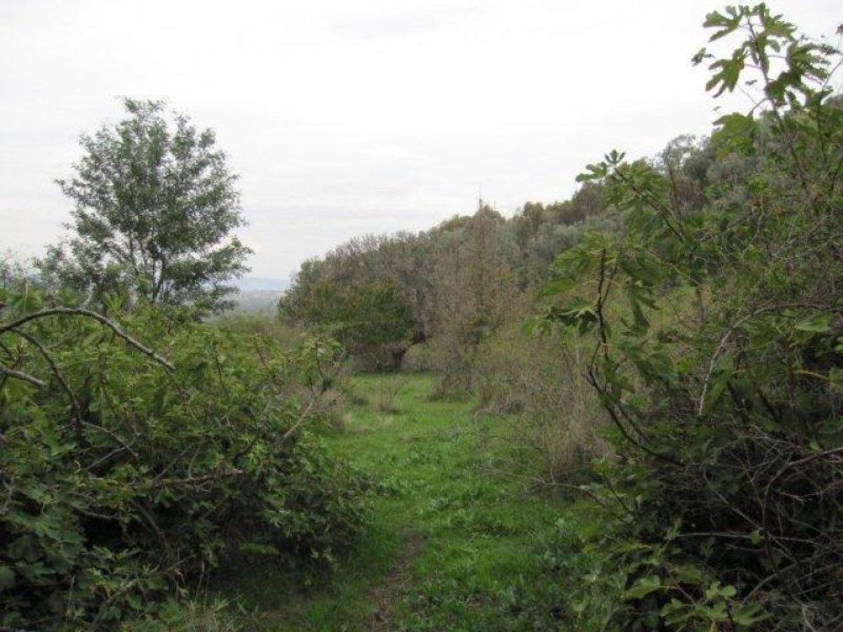 Lot 19 Parish Of Samaria Road, Swanpool