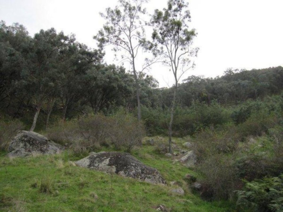 Lot 19 Parish Of Samaria Road, Swanpool