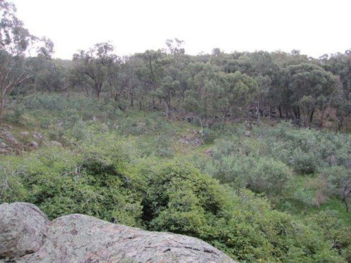 Lot 19 Parish Of Samaria Road, Swanpool