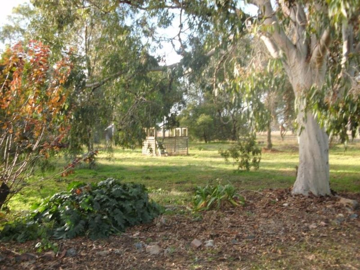 Benalla Road, Benalla