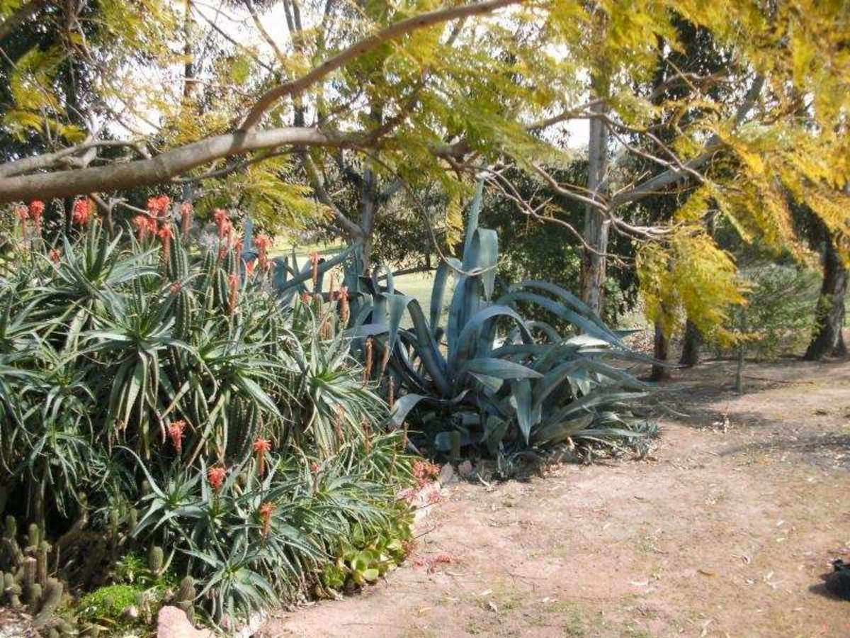 871 Lake Mokoan Road, Chesney Vale