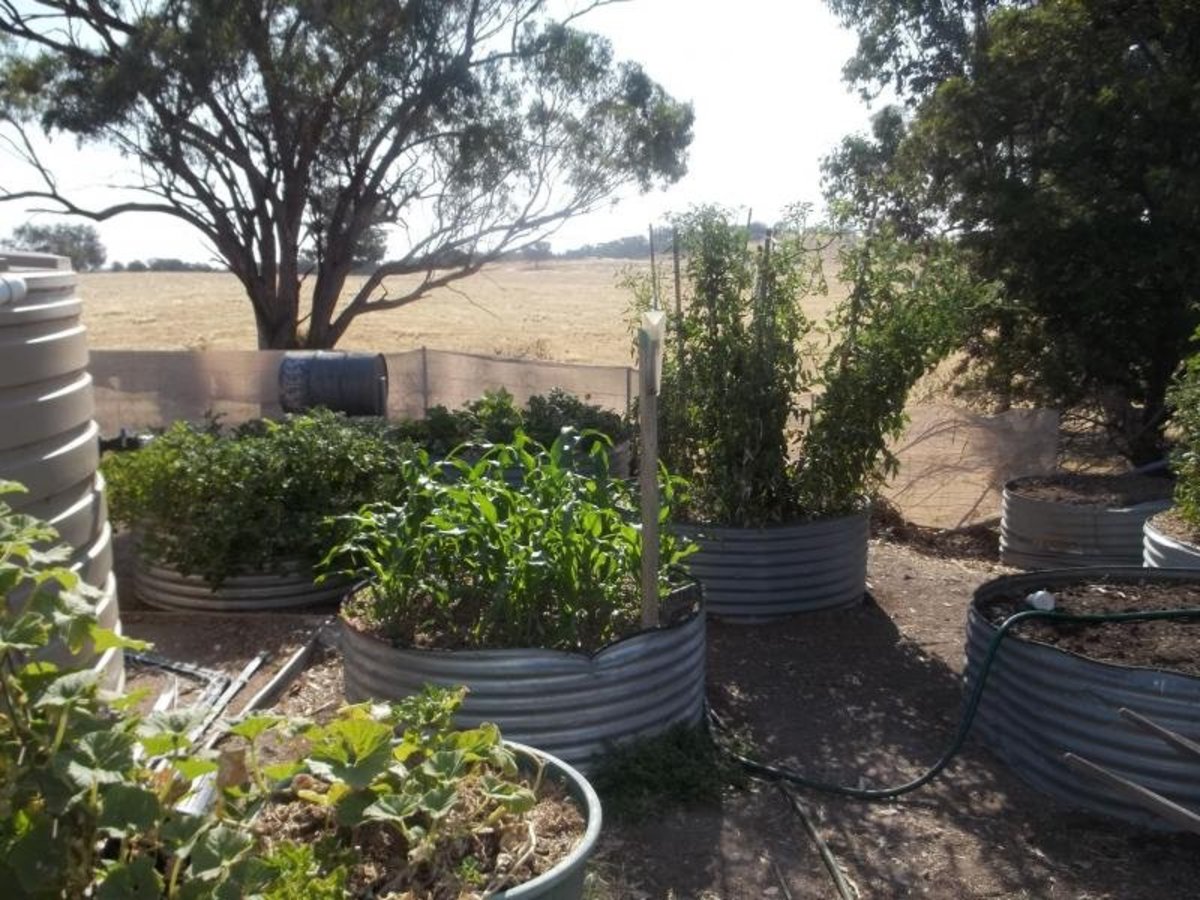 251 Groat Road, Goorambat