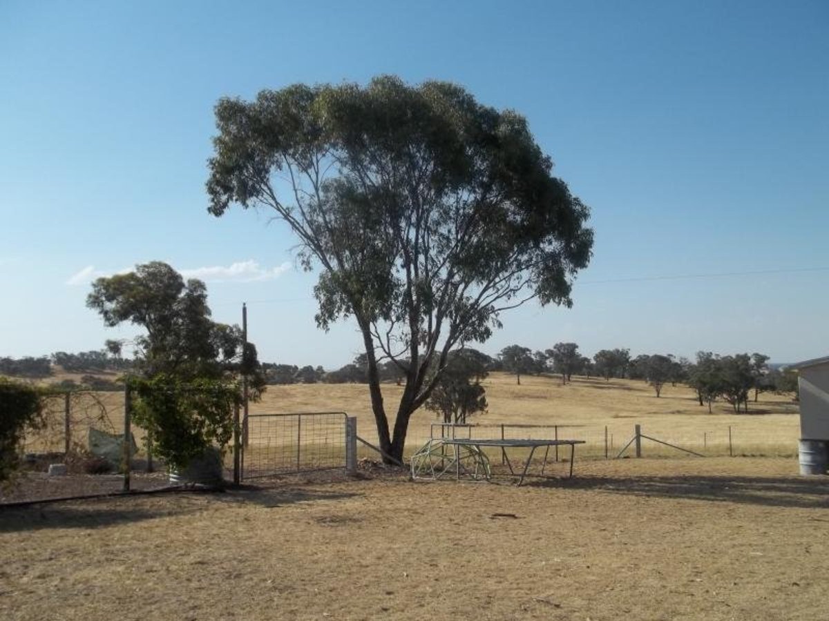 251 Groat Road, Goorambat