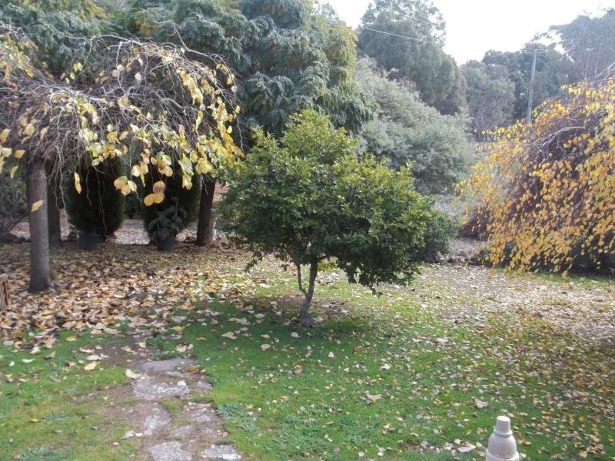 46 Spring Creek Road, Strathbogie