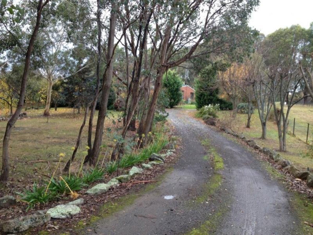 46 Spring Creek Road, Strathbogie