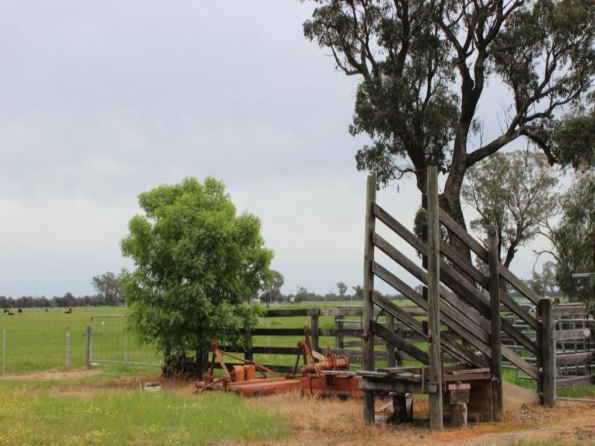 141 Murray Road, Benalla