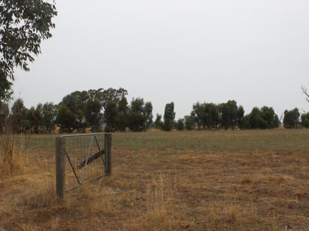 Boundary Road, Boxwood