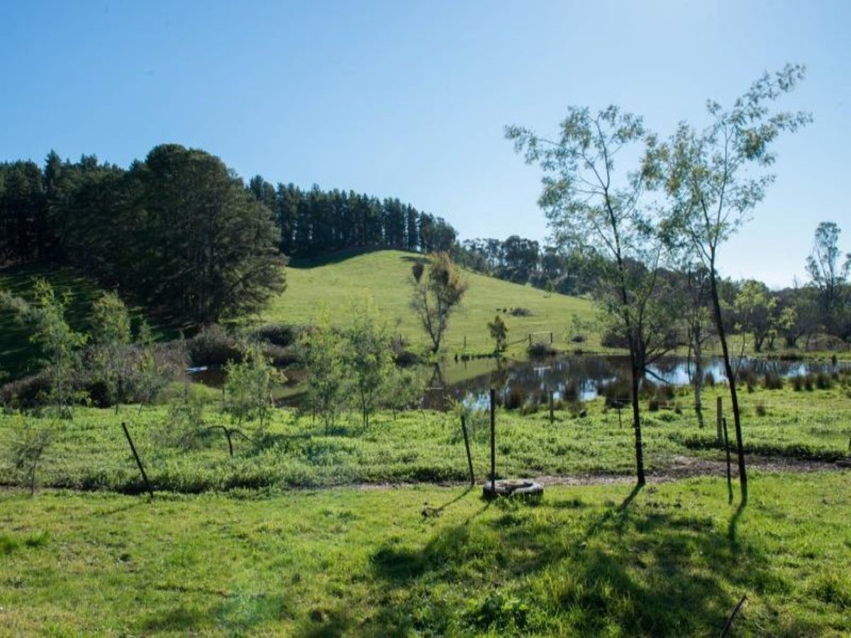 282 Green Road, Lurg