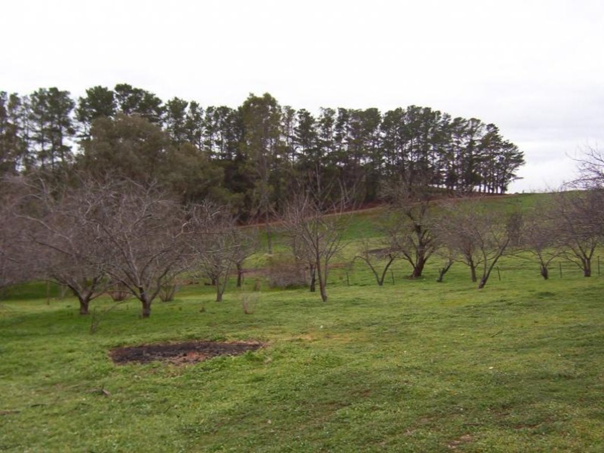 282 Green Road, Lurg