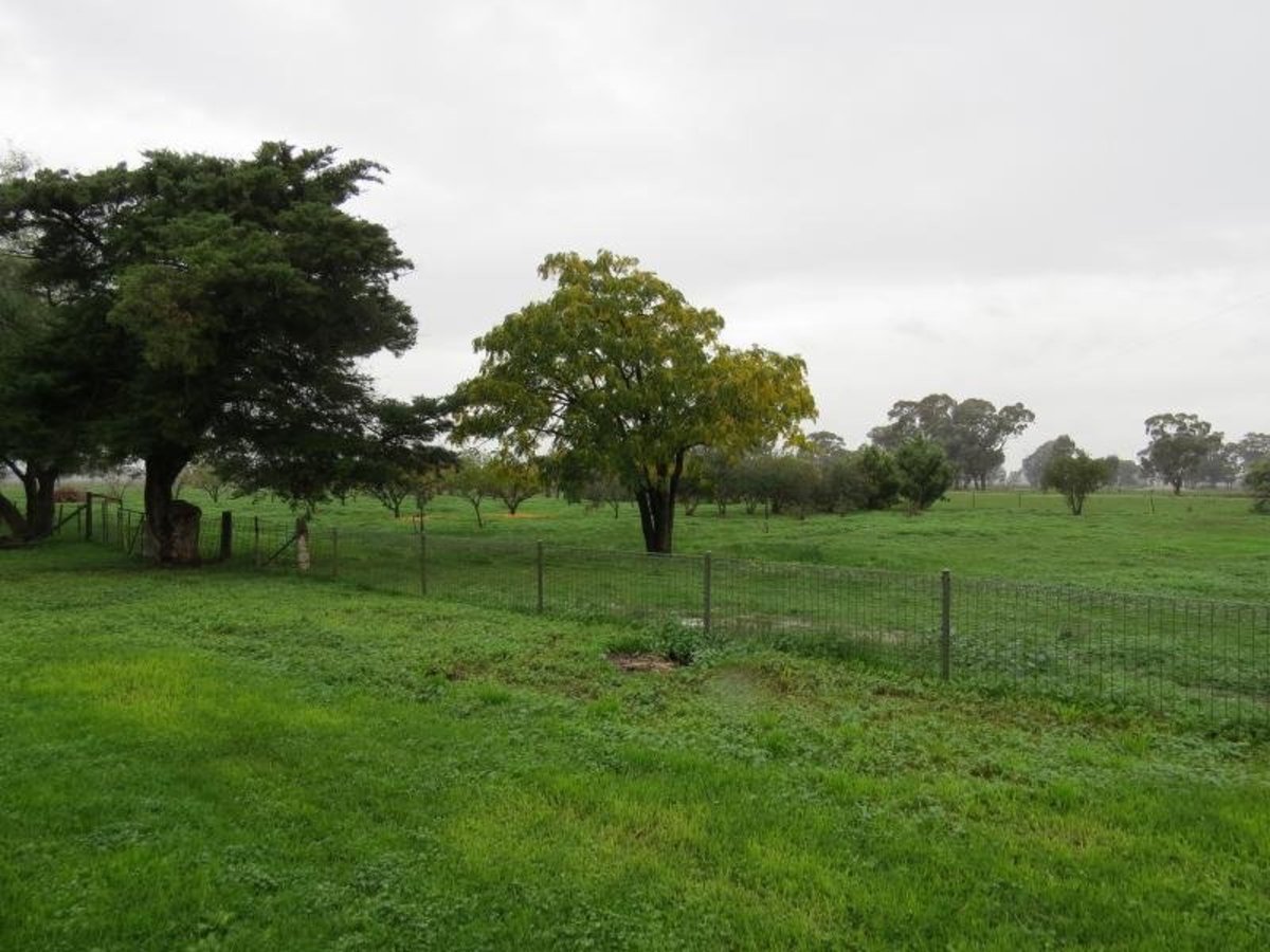 145 Boxwood Road, Boxwood