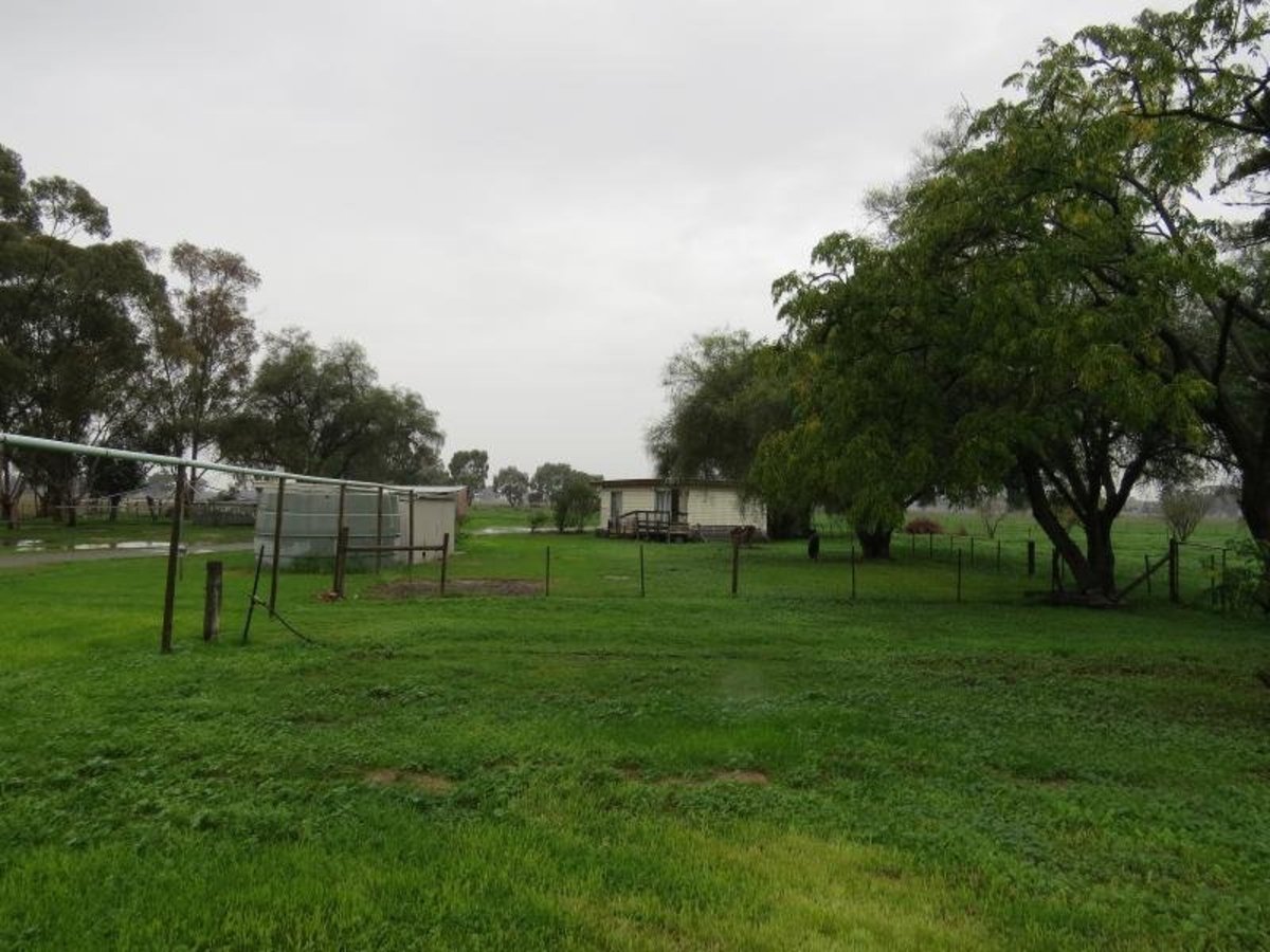145 Boxwood Road, Boxwood