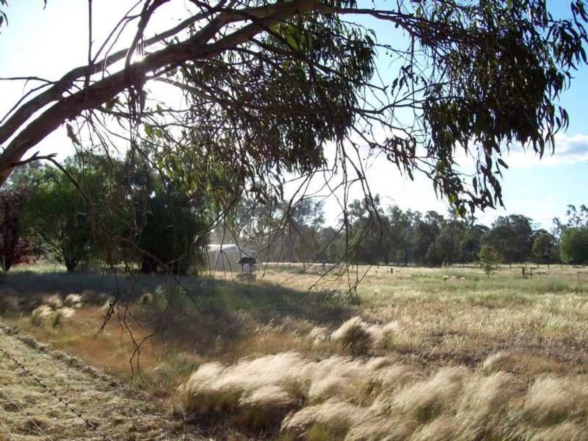 Lot 12 Moore Street, Baddaginnie