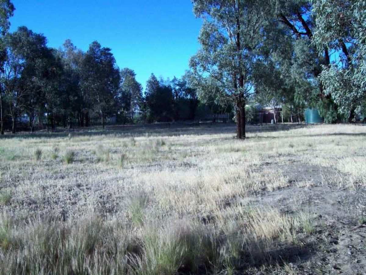 Lot 10, 11-12 Moore Street, Baddaginnie