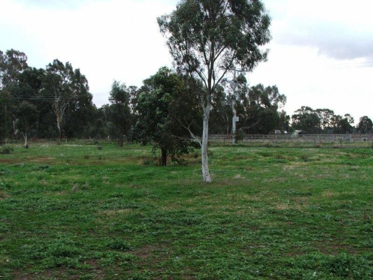 11 Saxon Street, Euroa
