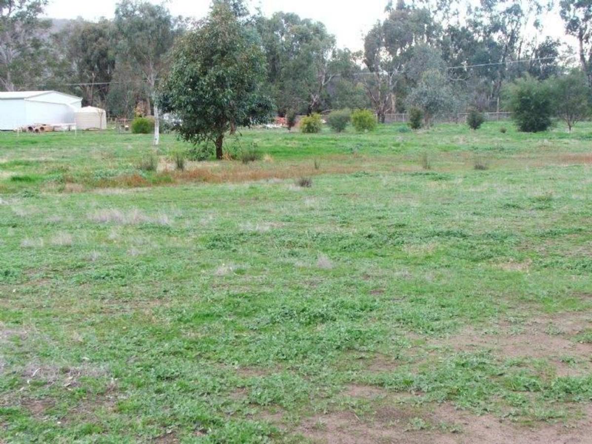 11 Saxon Street, Euroa