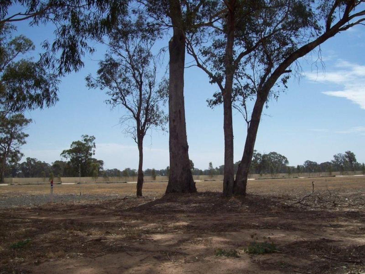 Lot 1 to 25 The Culdesac Street, Benalla