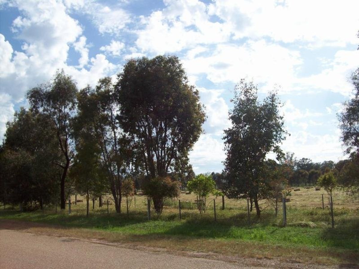 124 Baddaginnie-Benalla Road, Benalla