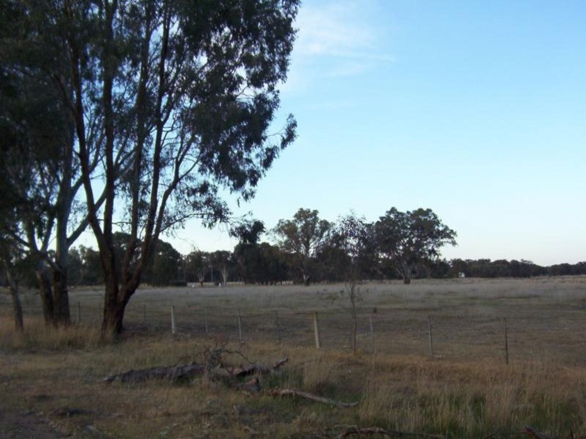 Billabong Lane, Violet Town