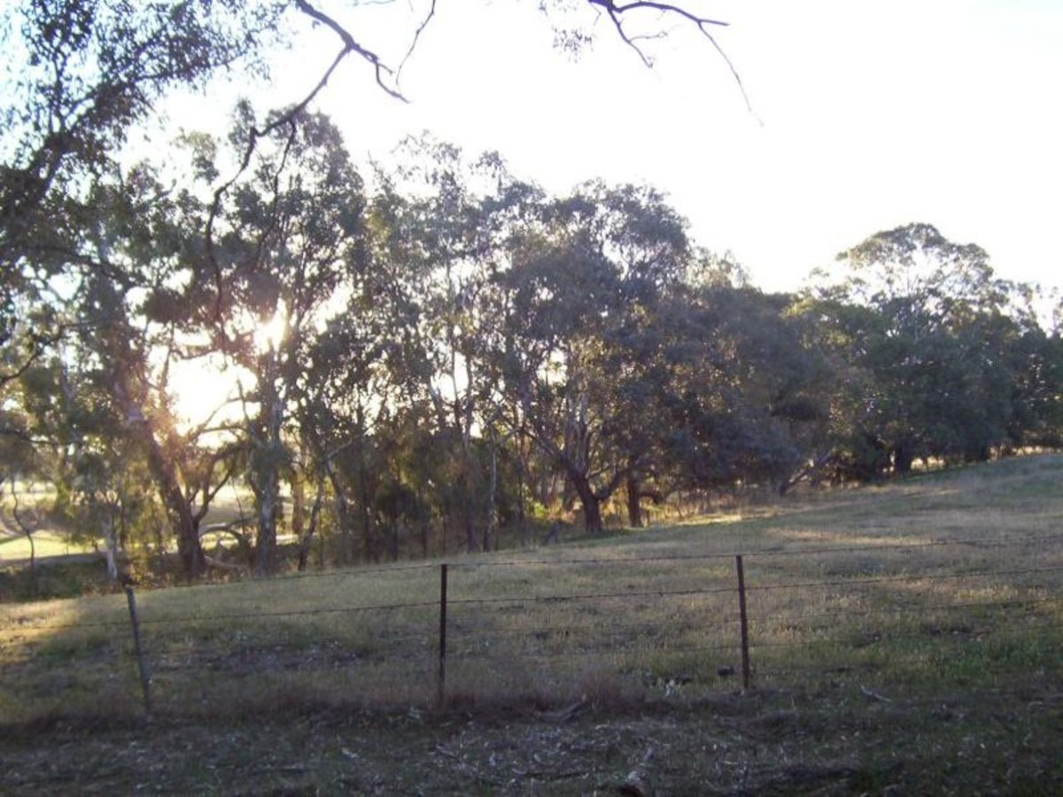 Billabong Lane, Violet Town