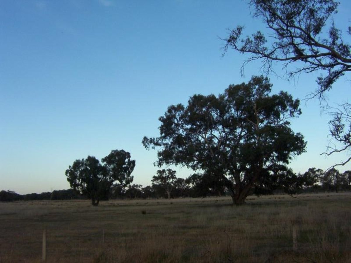 Lot 1 Billabong Lane, Violet Town