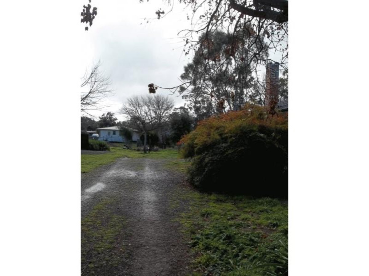 11 Cowslip Street, Violet Town