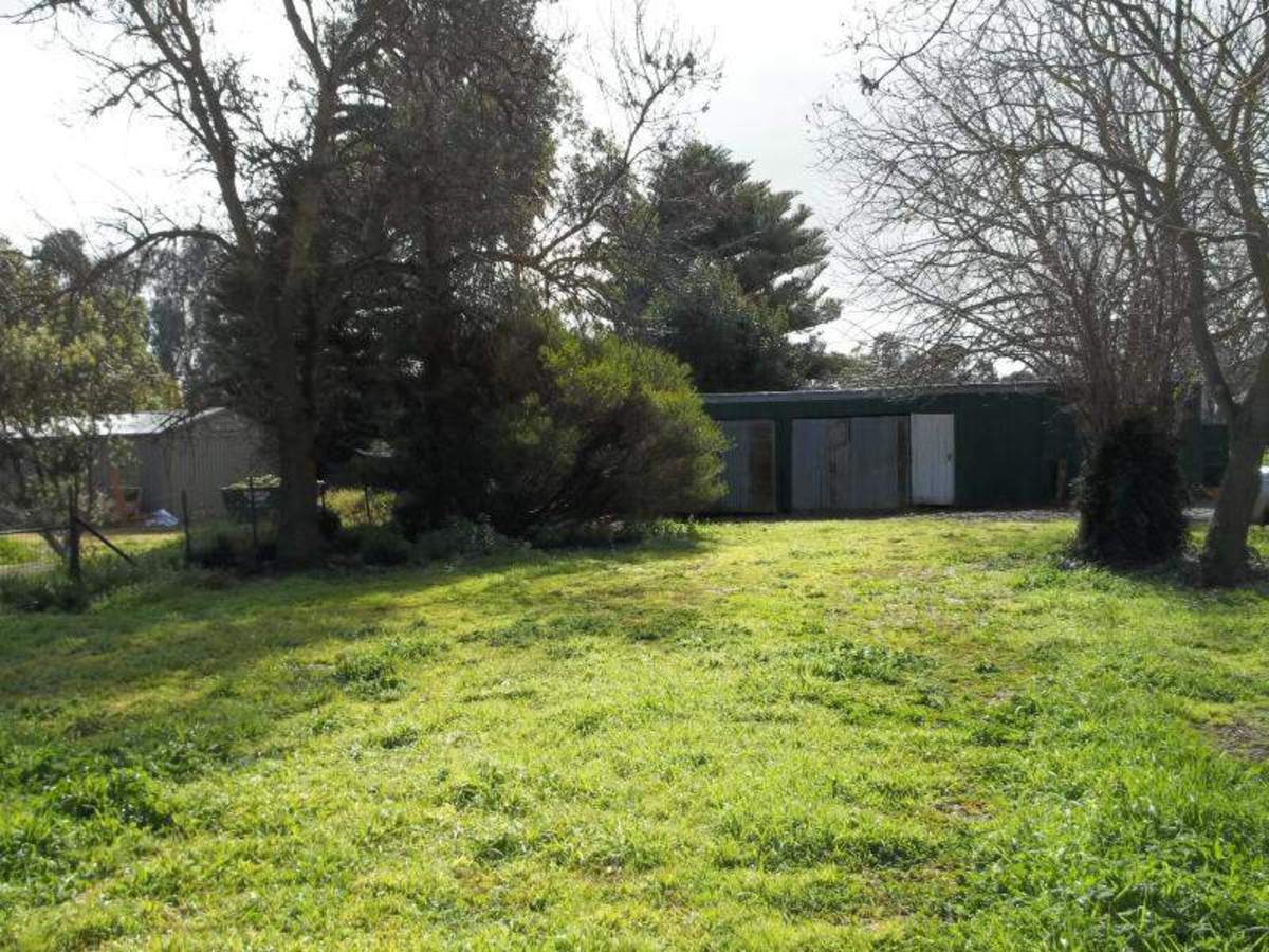 11 Cowslip Street, Violet Town