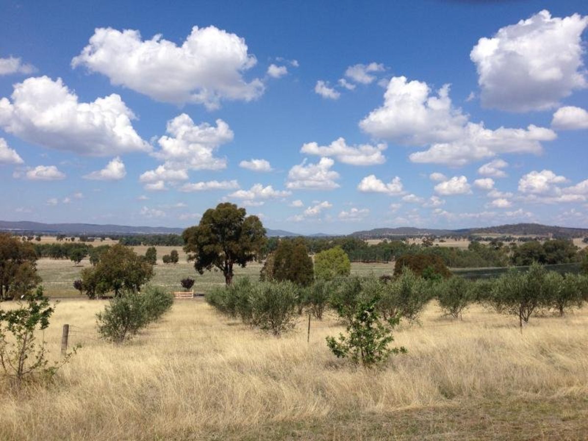Lot 7 Sargeant Street, Thoona