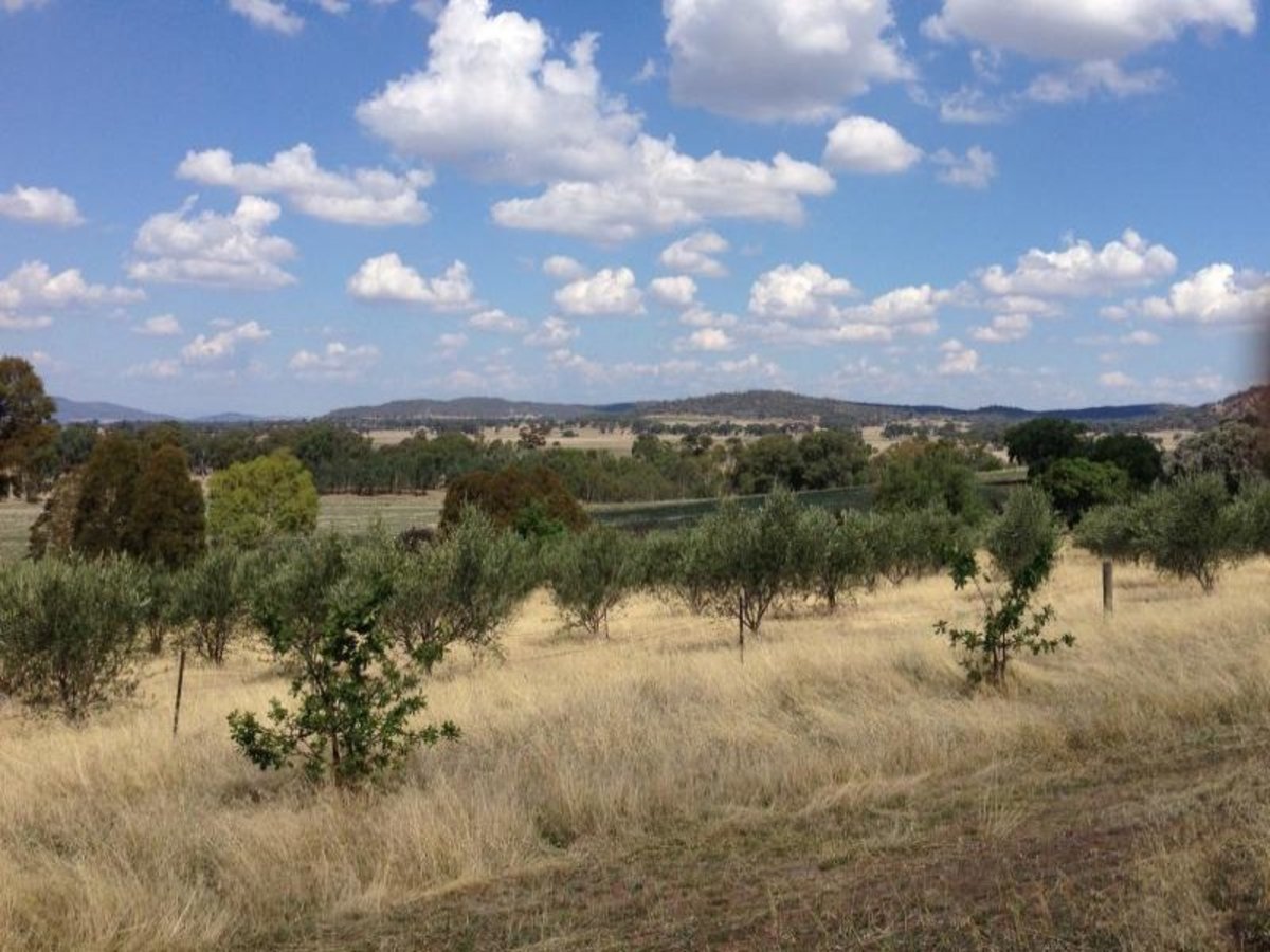 Lot 5 Sargeant Street, Thoona