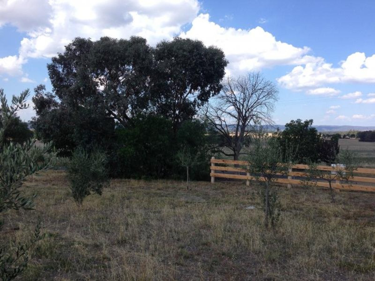 Lot 5 Sargeant Street, Thoona