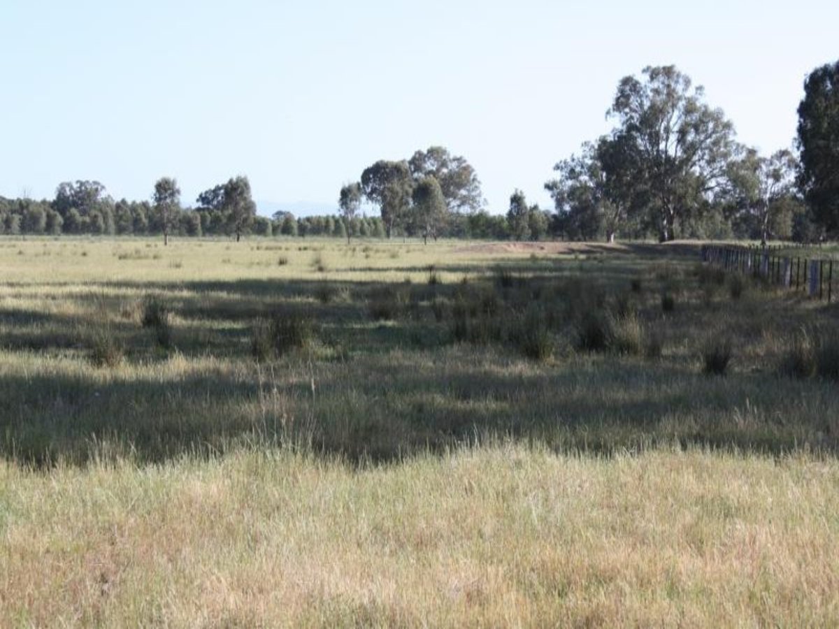 Lot 0 Coach Road, Winton