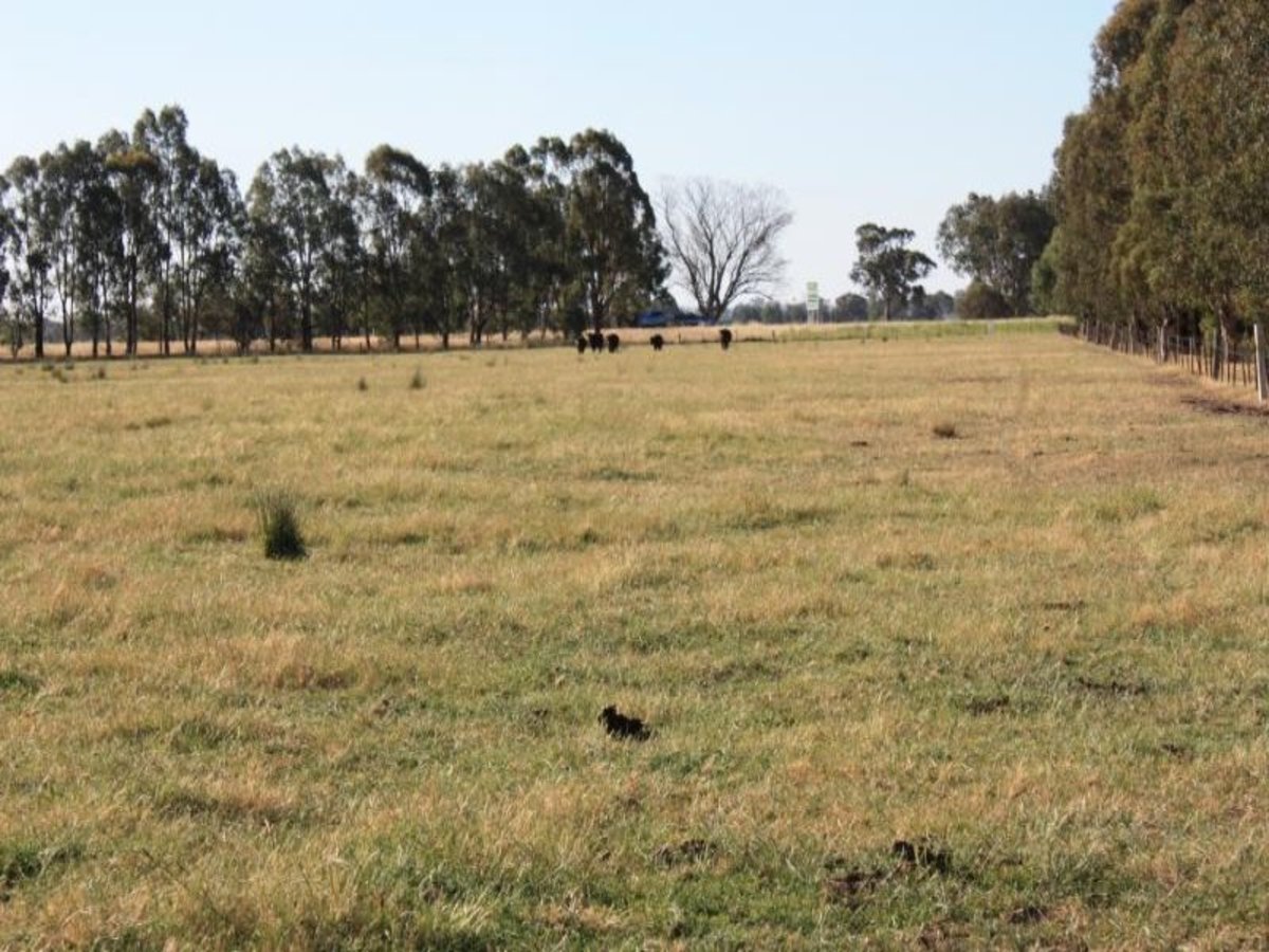 Lot 0 Coach Road, Winton
