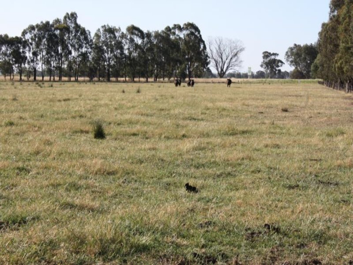 Lot 0 Coach Road, Winton