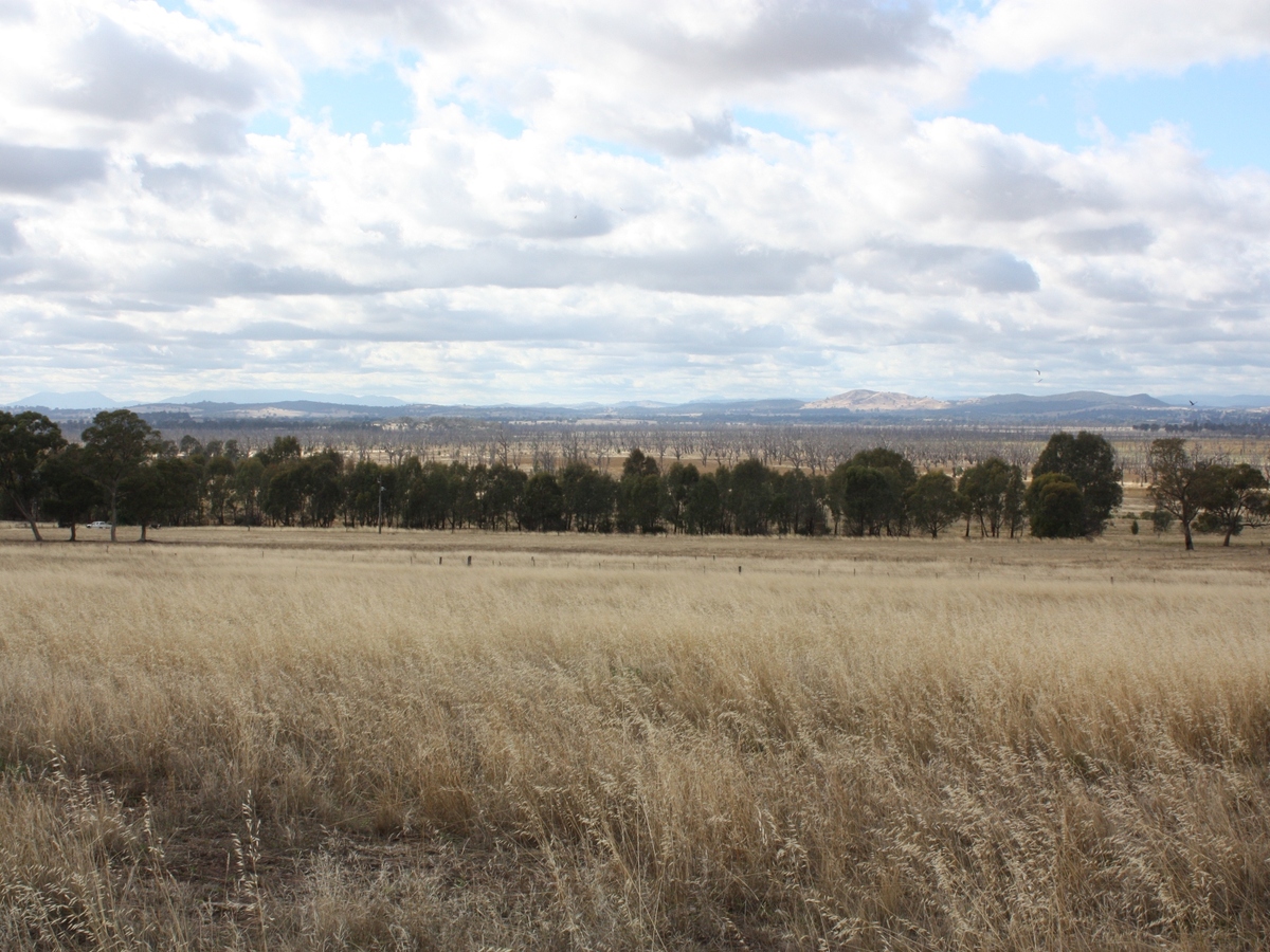 1 McGann Hill Road, Chesney Vale