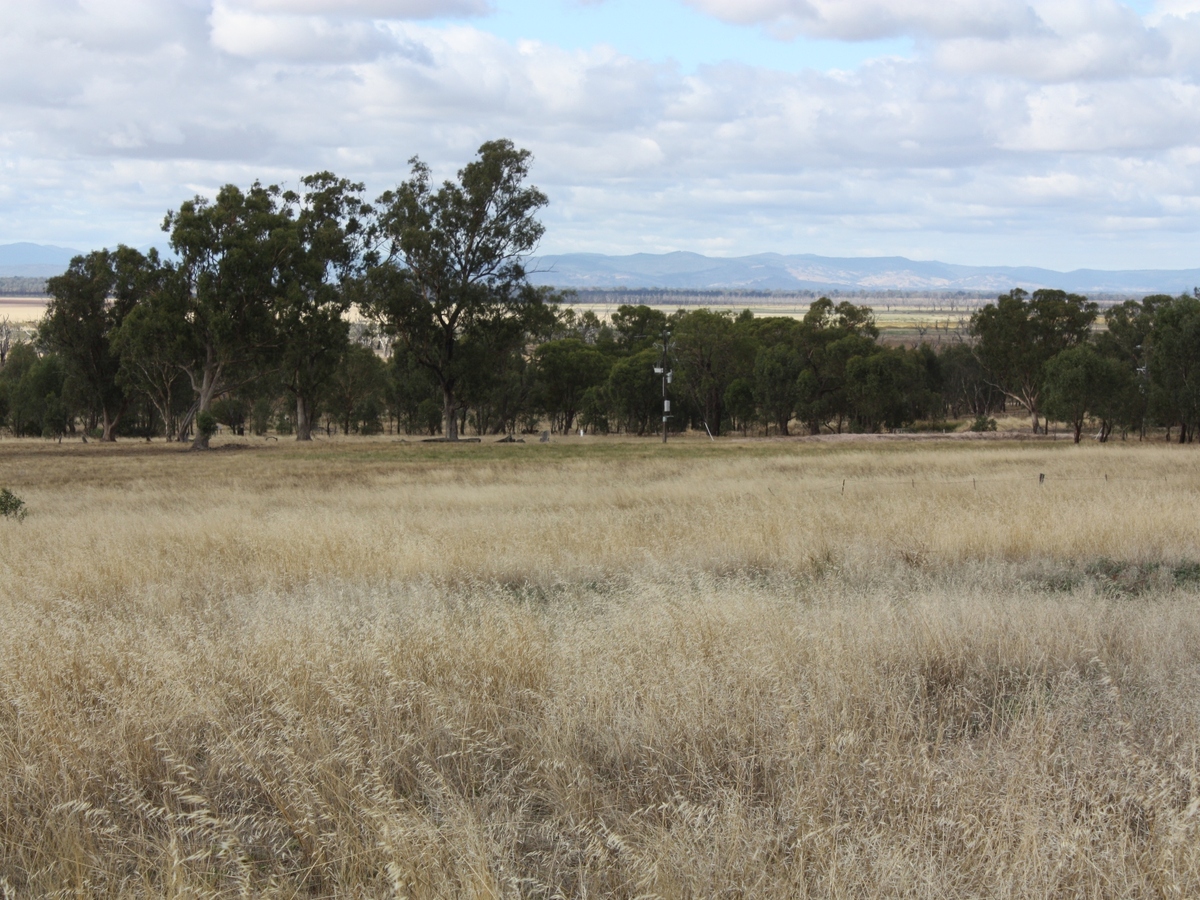 1 McGann Hill Road, Chesney Vale