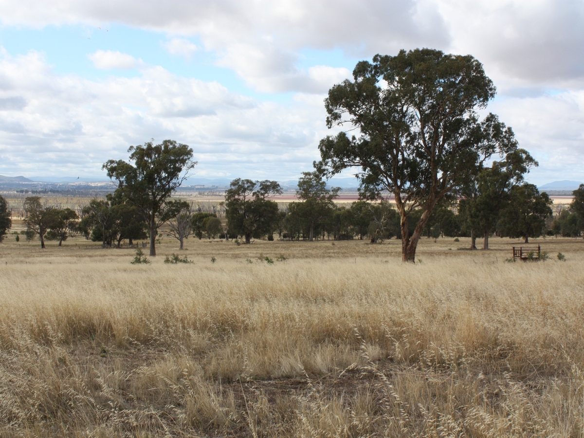 1 McGann Hill Road, Chesney Vale