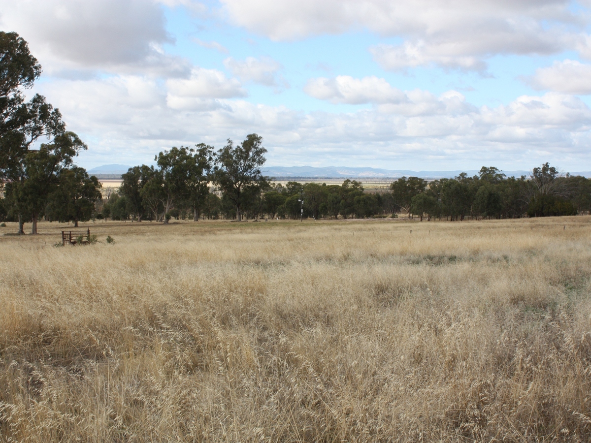 1 McGann Hill Road, Chesney Vale