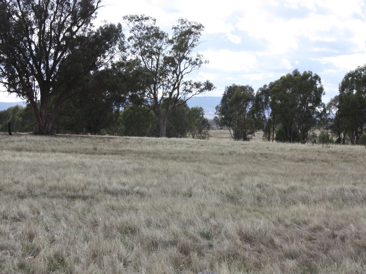 1 McGann Hill Road, Chesney Vale