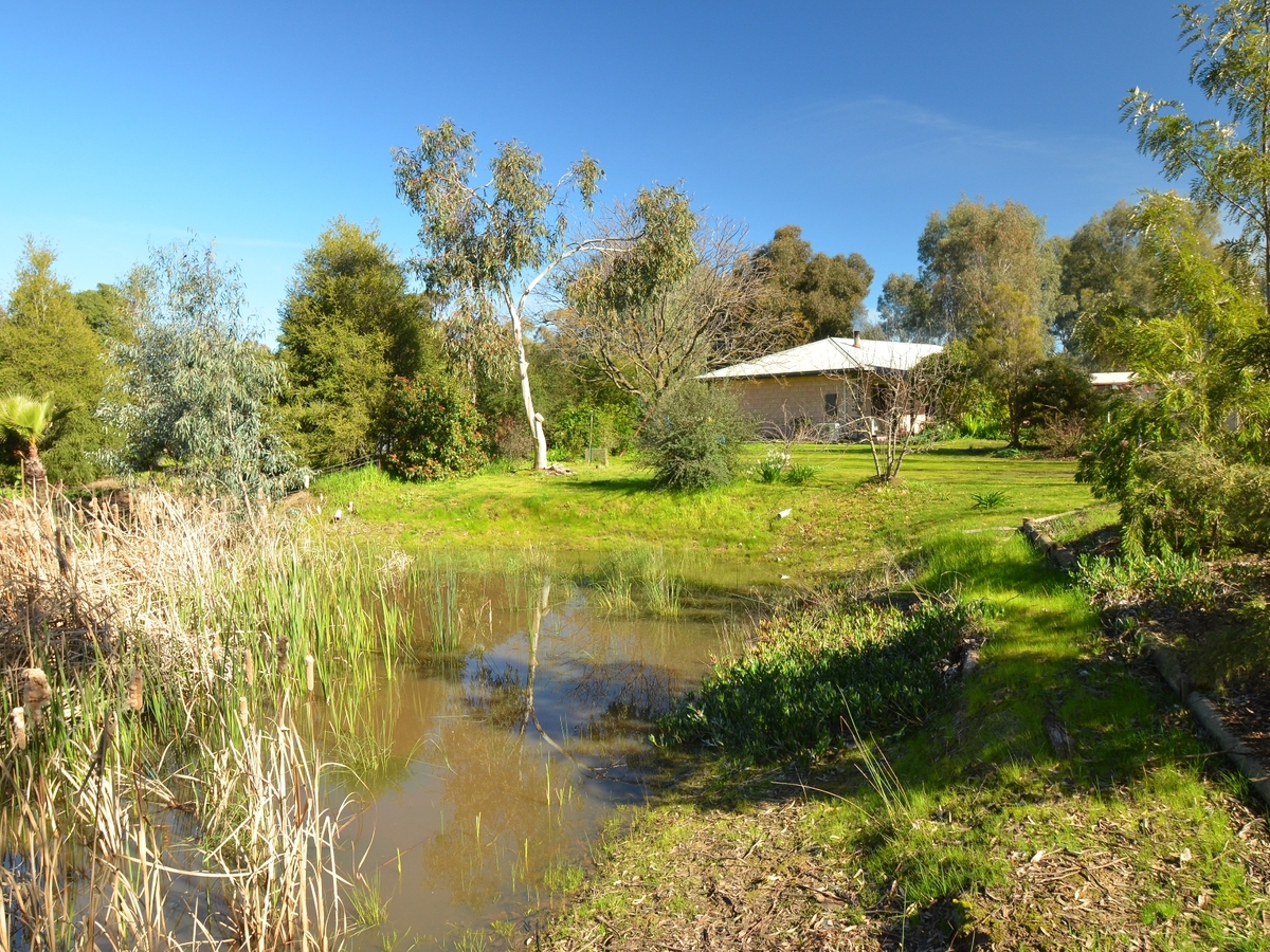 73 Clarendon Street, Baddaginnie