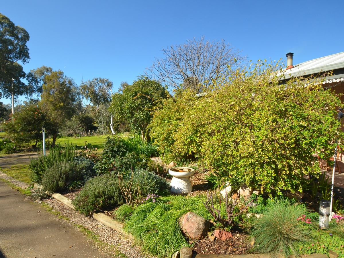 73 Clarendon Street, Baddaginnie