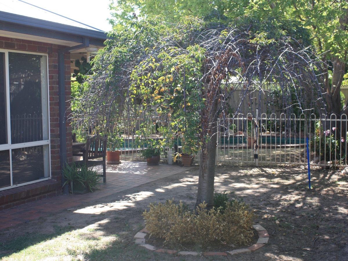 14 Exton Cresent, Benalla