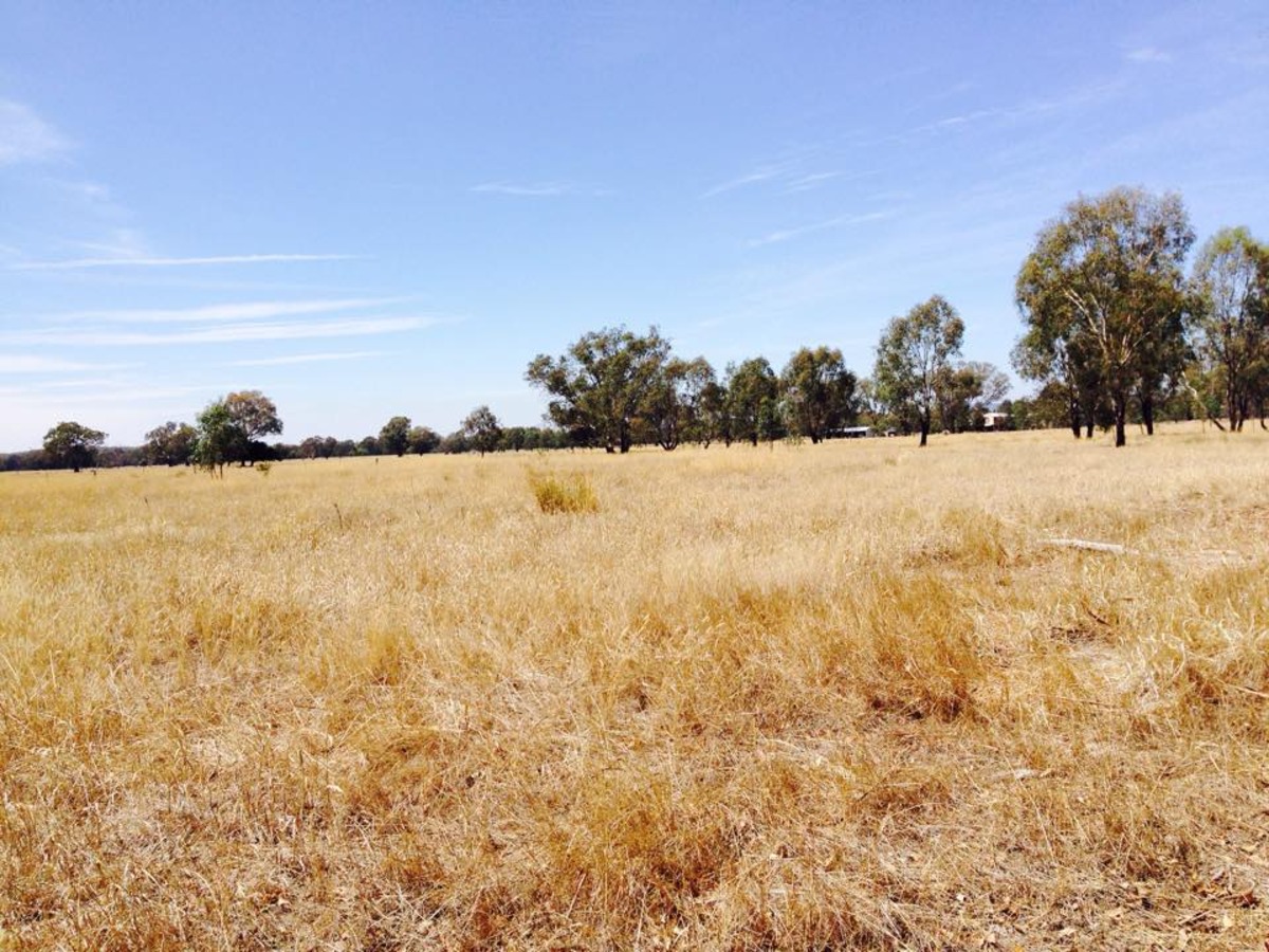 Lot 1, Baddaginie-Benalla Road, Baddaginnie