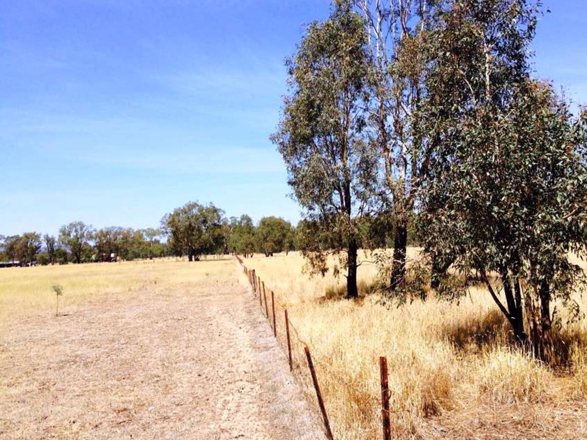 Lot 1, Baddaginie-Benalla Road, Baddaginnie