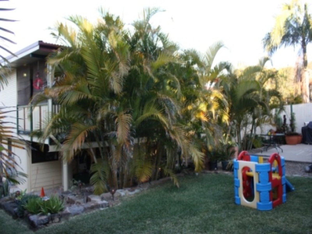 35 Louise St, Underwood