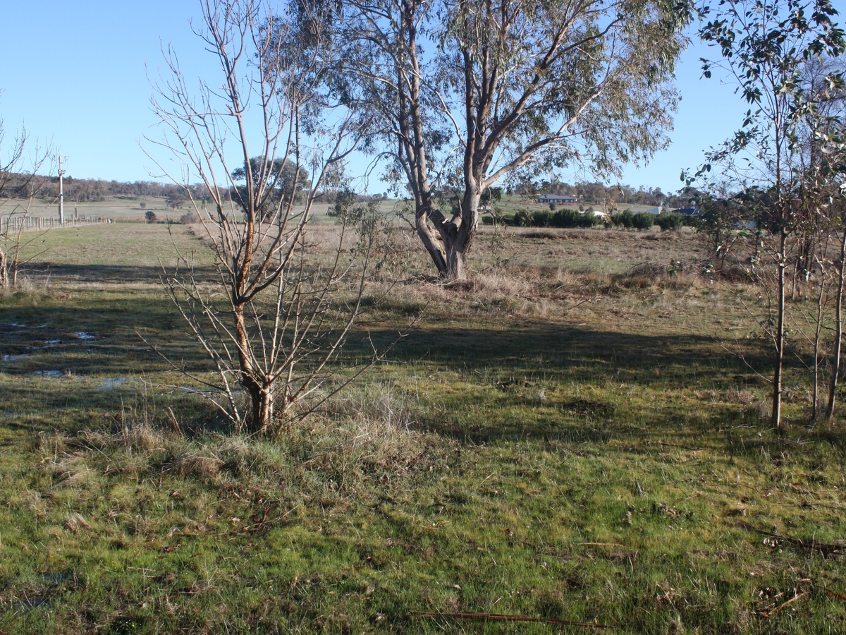 Lot 9, Lake Mokoan Road, Chesney Vale