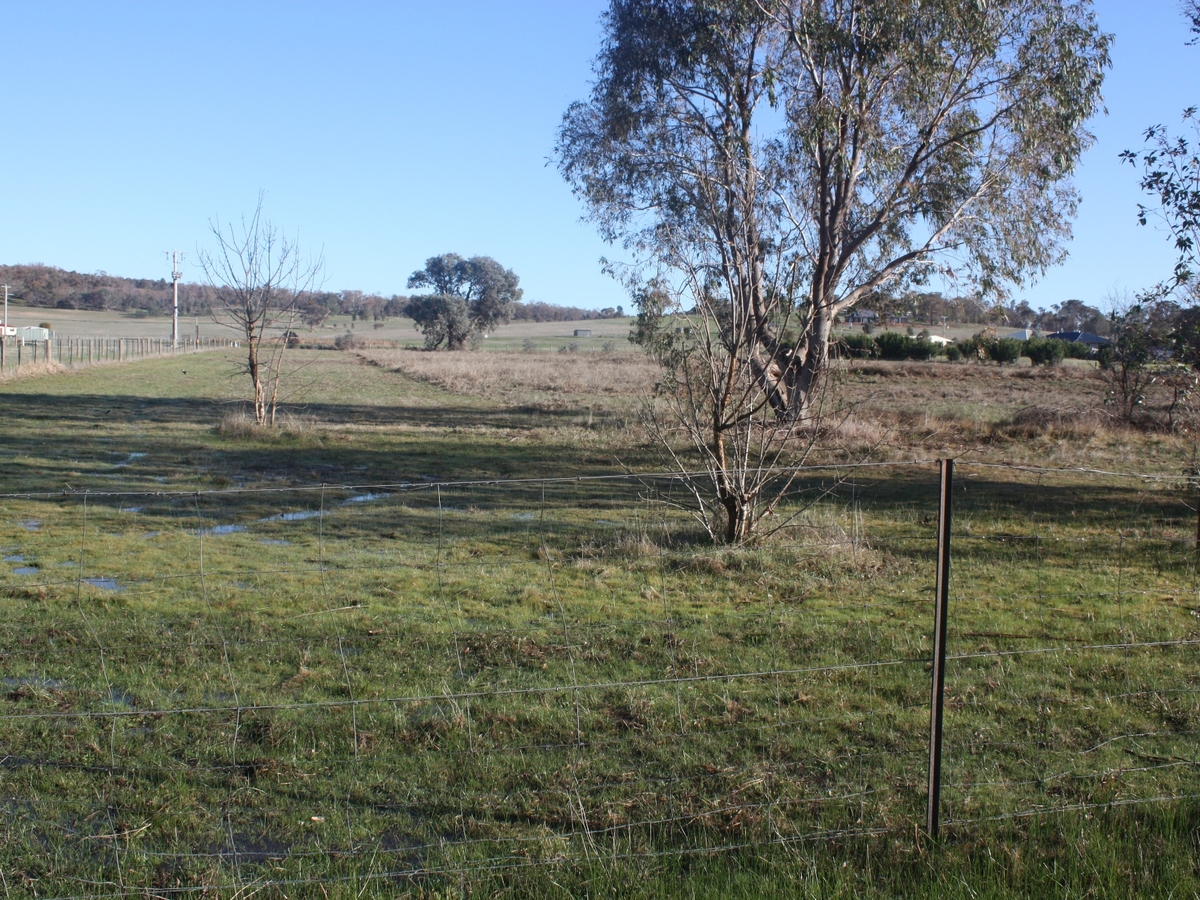 Lot 9, Lake Mokoan Road, Chesney Vale