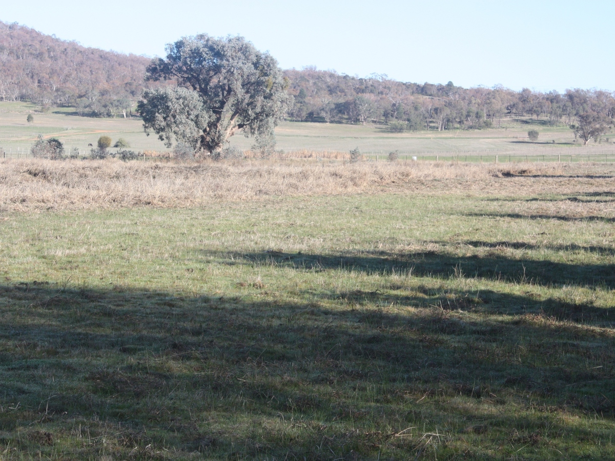 Lot 9, Lake Mokoan Road, Chesney Vale