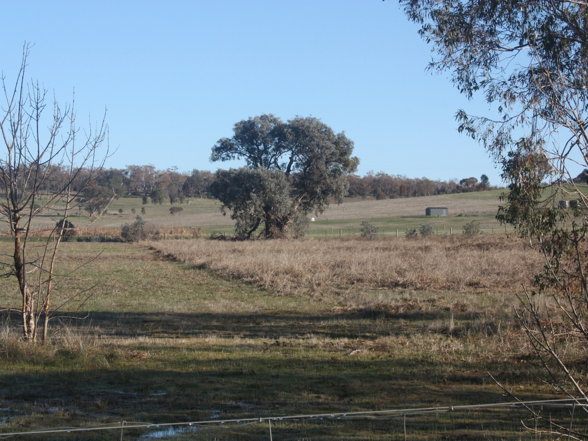 Lot 9, Lake Mokoan Road, Chesney Vale