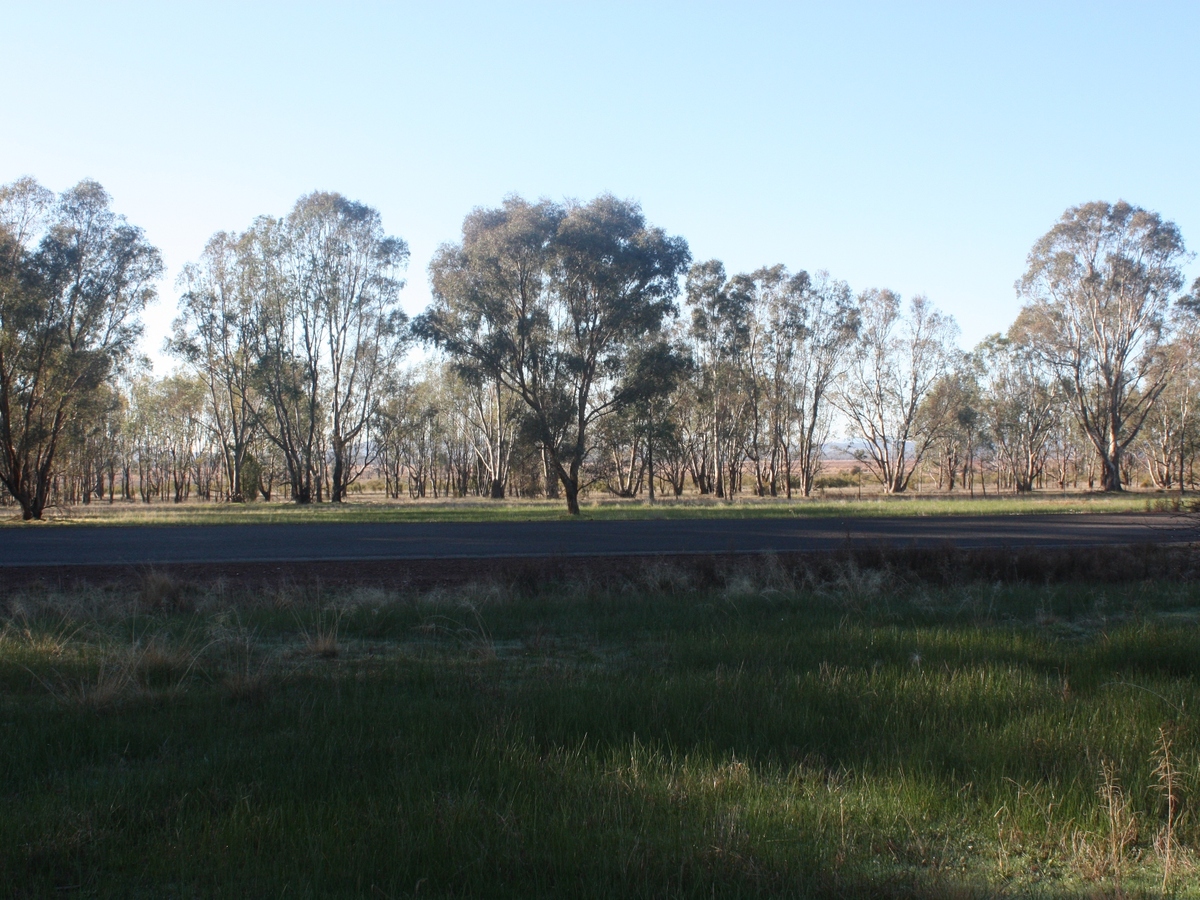 Lot 9, Lake Mokoan Road, Chesney Vale