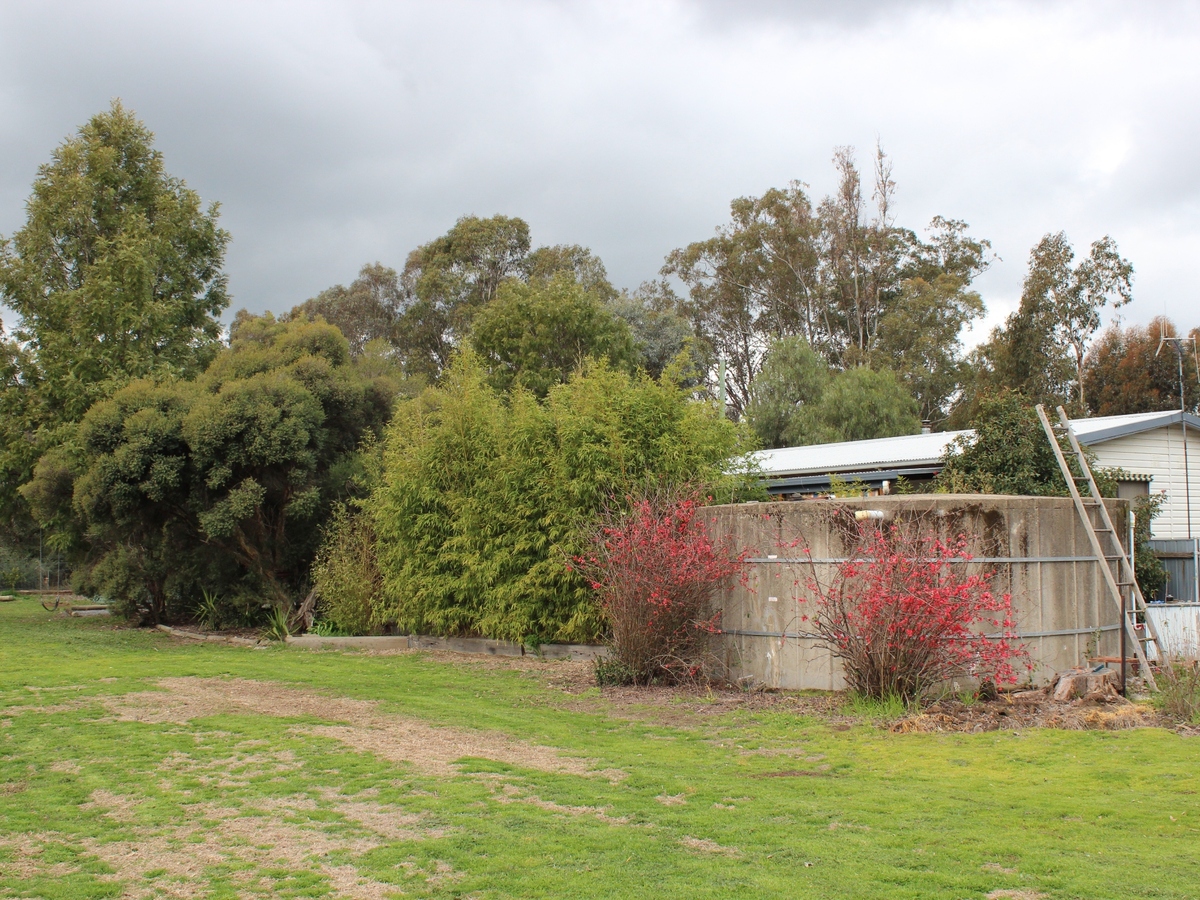 31 Moore Street, Baddaginnie