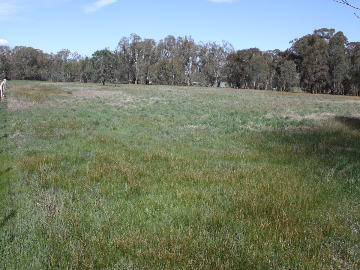 195 Grant Drive, Benalla